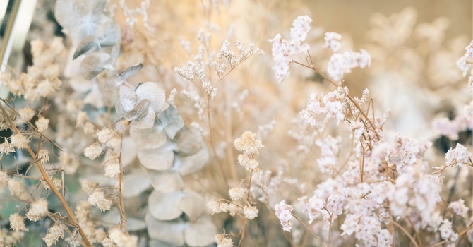 Traditional Chinese Medicine (TCM) & Acupuncture